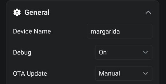 General settings section